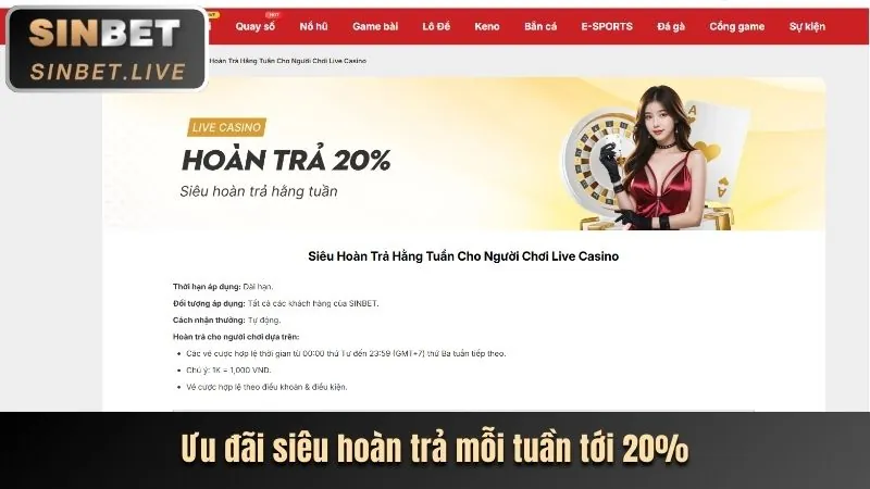Các loại khuyến mãi MCW66 phổ biến